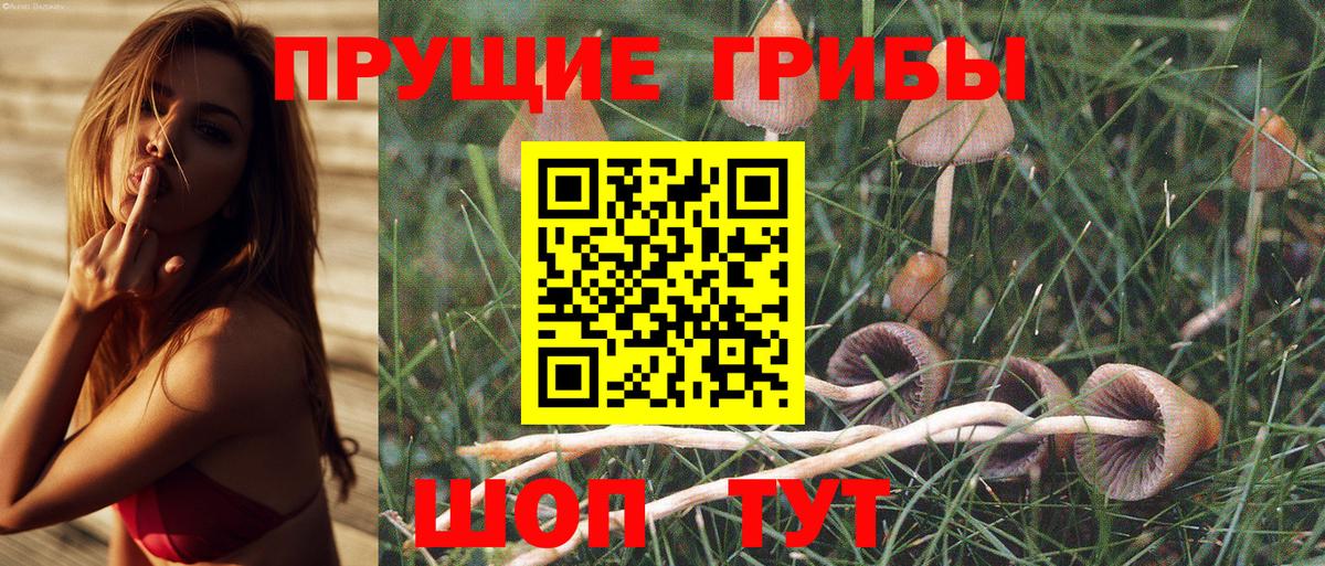 Галлюциногенные грибы Cubensis  Вход с VPN  Дубна 