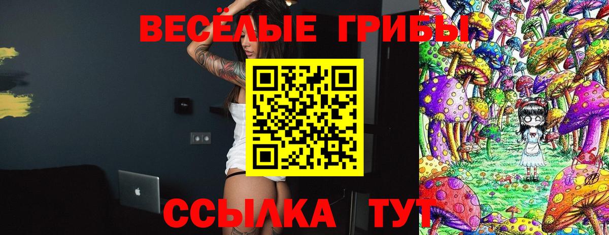 Псилоцибиновые грибы MAGIC MUSHROOMS Дубна